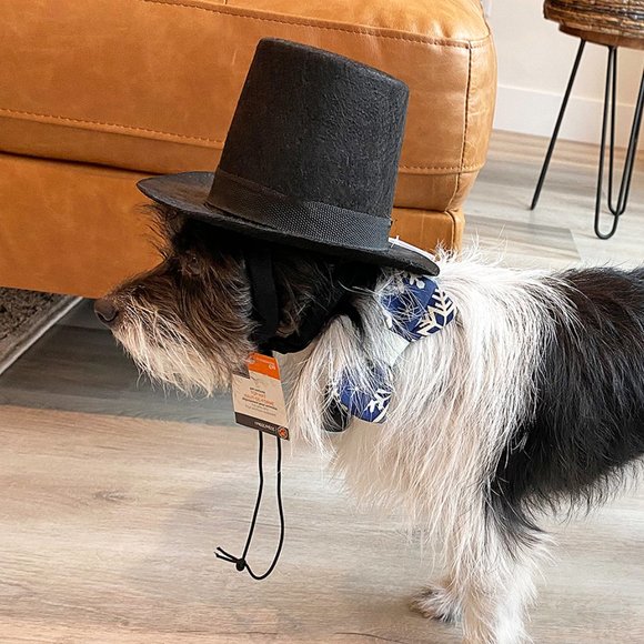 Pet Black Top Hat – Fits Small/Medium Pets (Dogs etc) - Picture 6 of 7